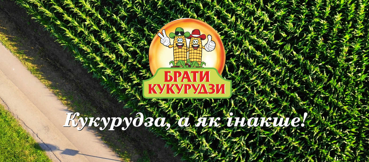 Постер Брати кукурудзи із зображенням кукурудзяного поля